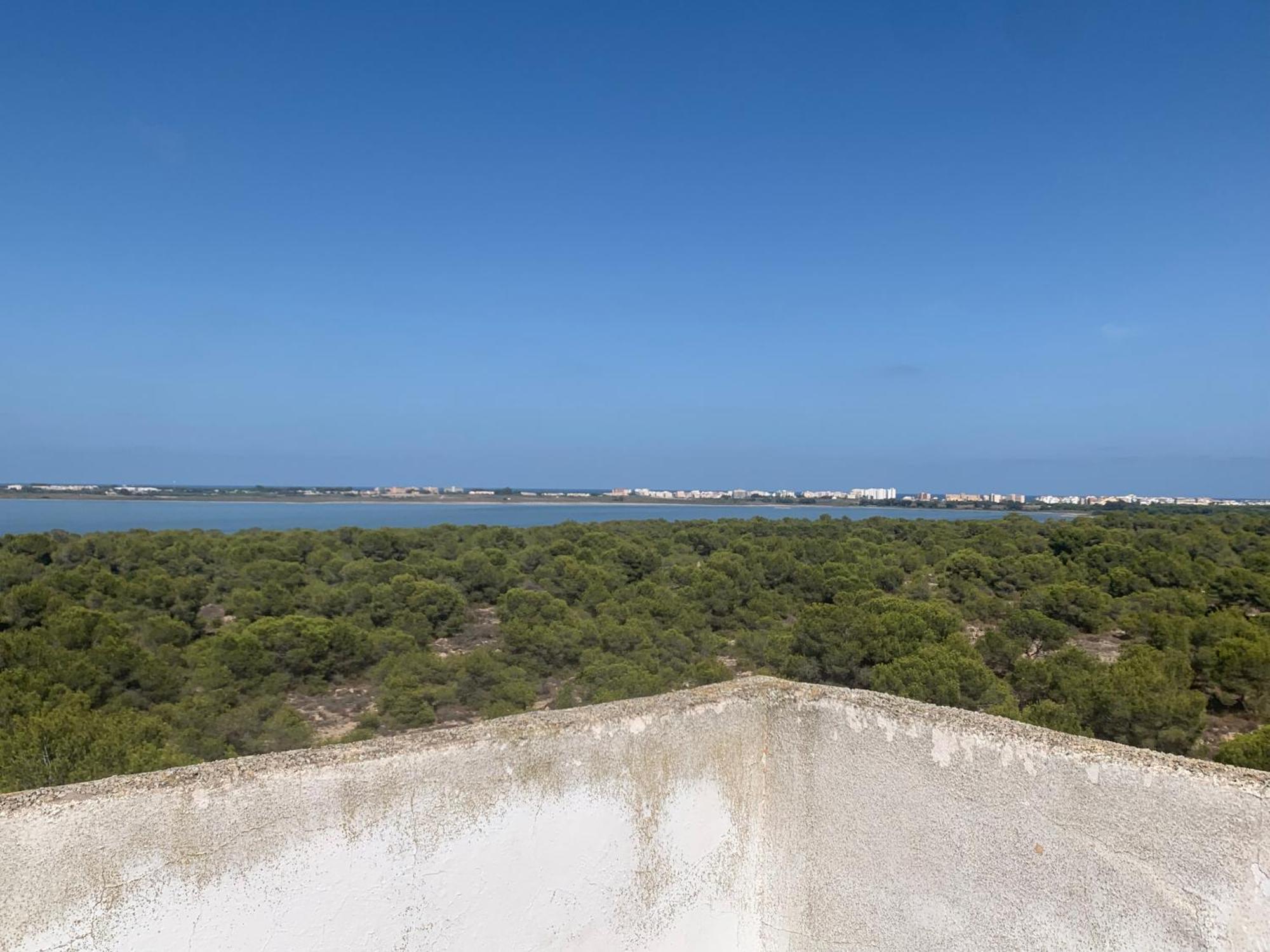 Tres Beau T4 Torrevieja Renove Et Moderne Lägenhet Exteriör bild